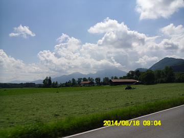 Turkey (338)